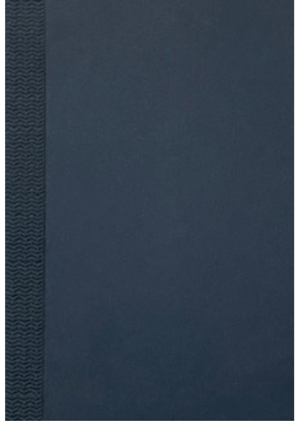 organizadr azul 25