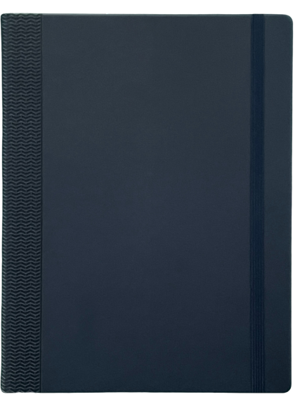 ejecutivo azul