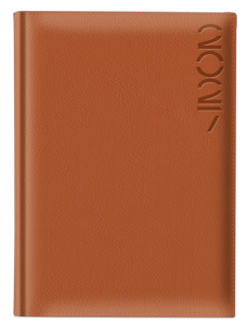 Director-color-gena-BN