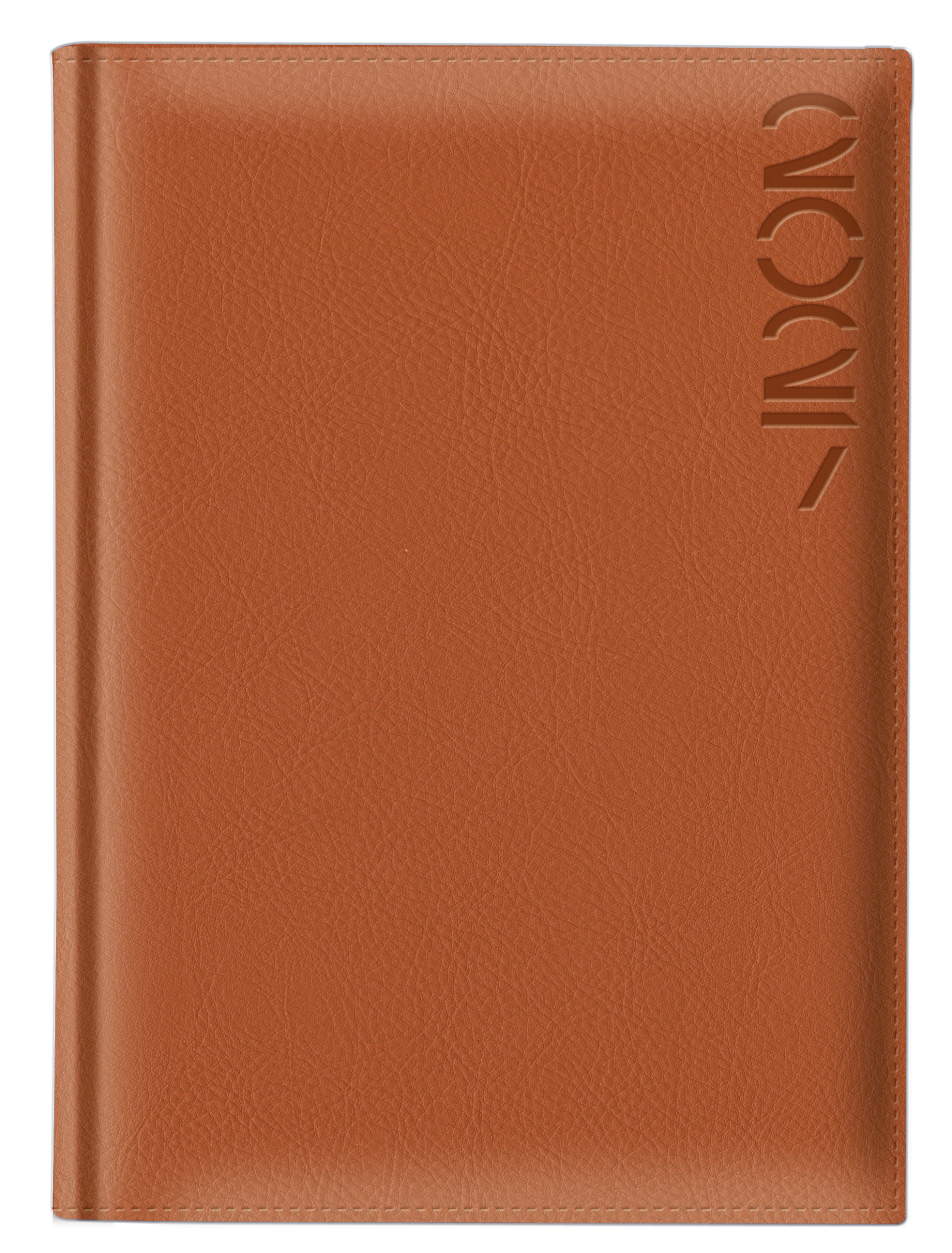 Director-color-gena-BN